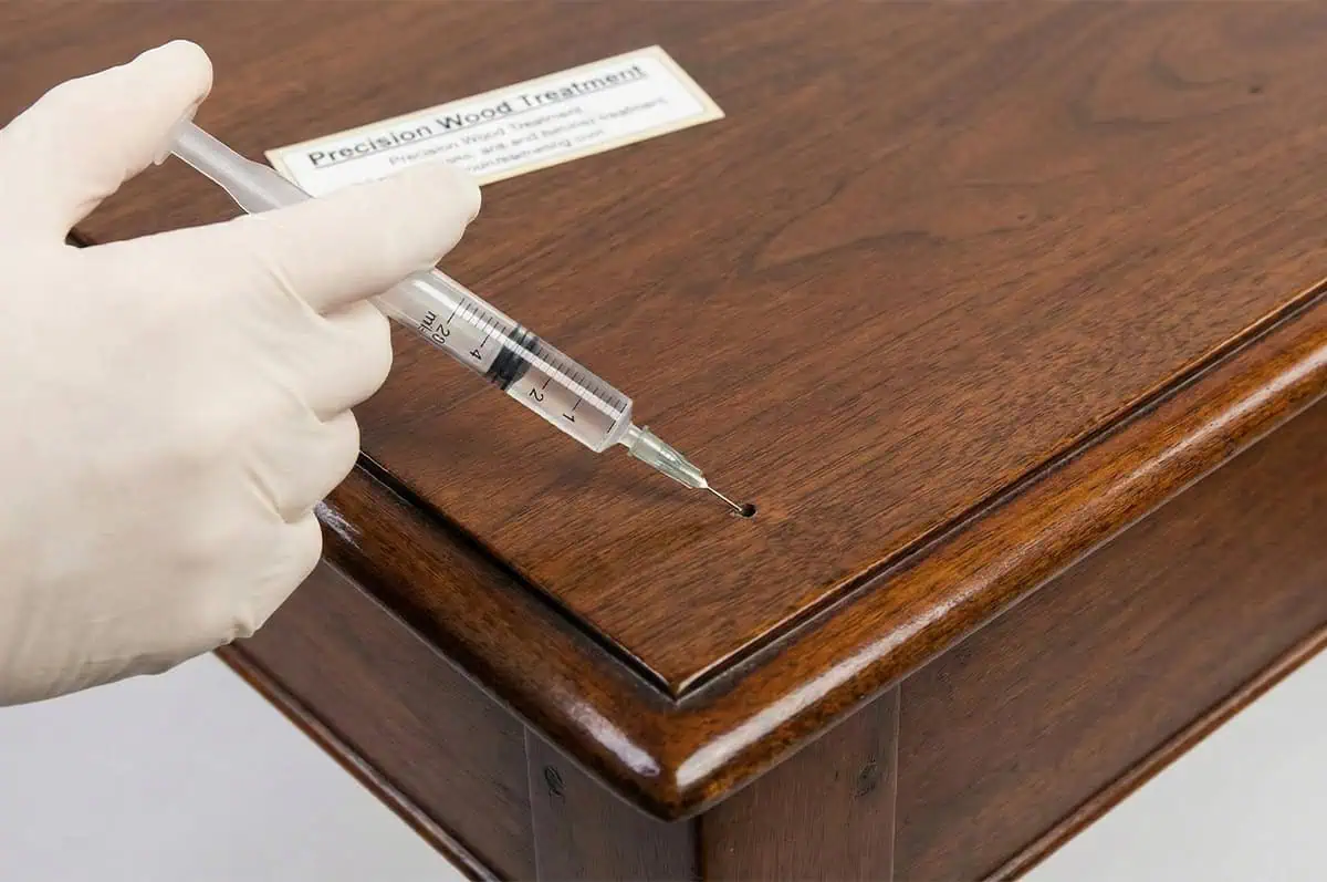 Bahaya Rayap pada Furnitur dan Solusi Jasa Anti Rayap