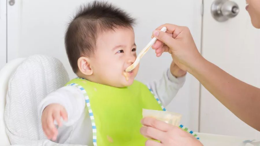 Panduan Lengkap Makanan Bayi 8 Bulan Sehat dan Bergizi